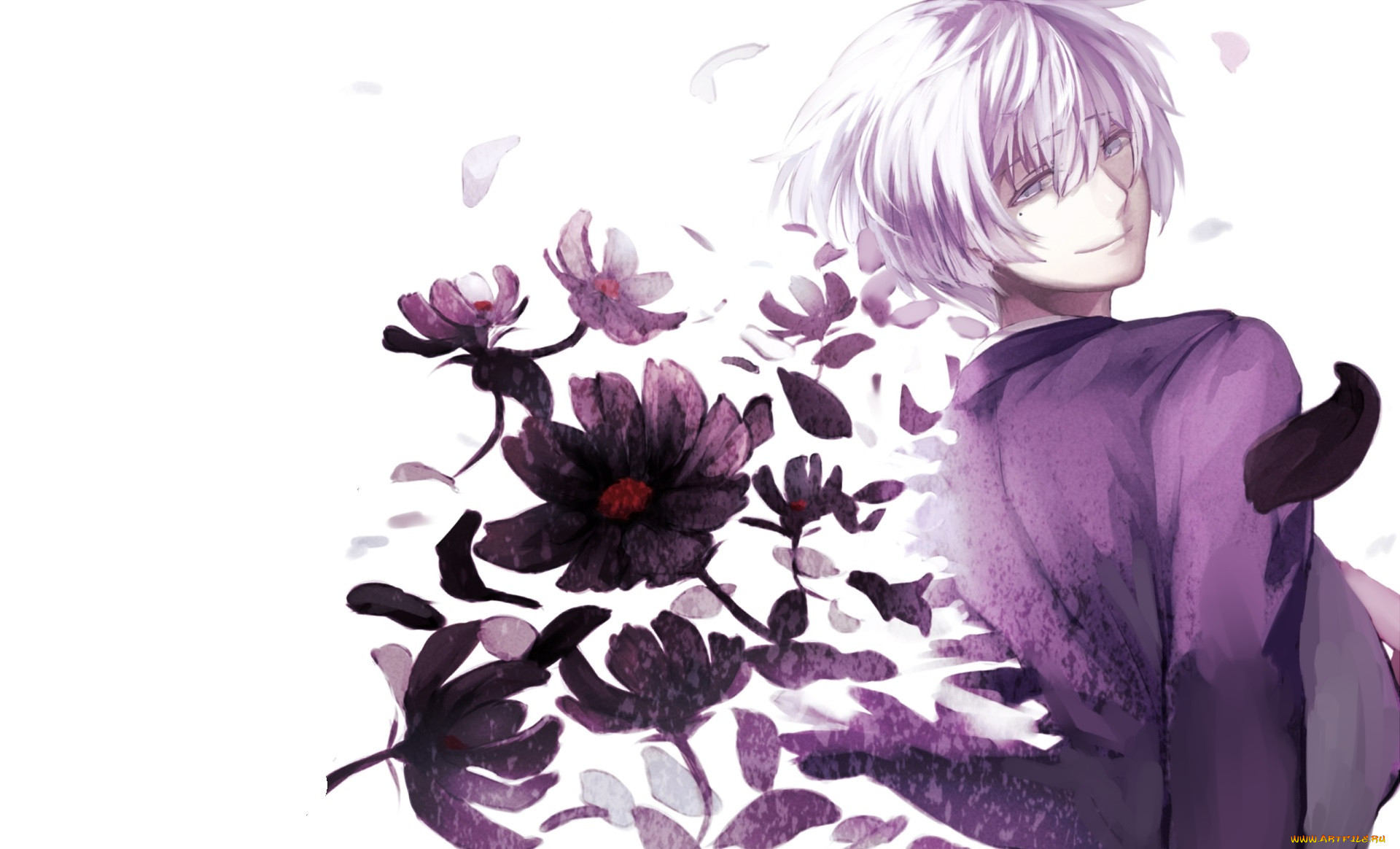 , hamatora, 